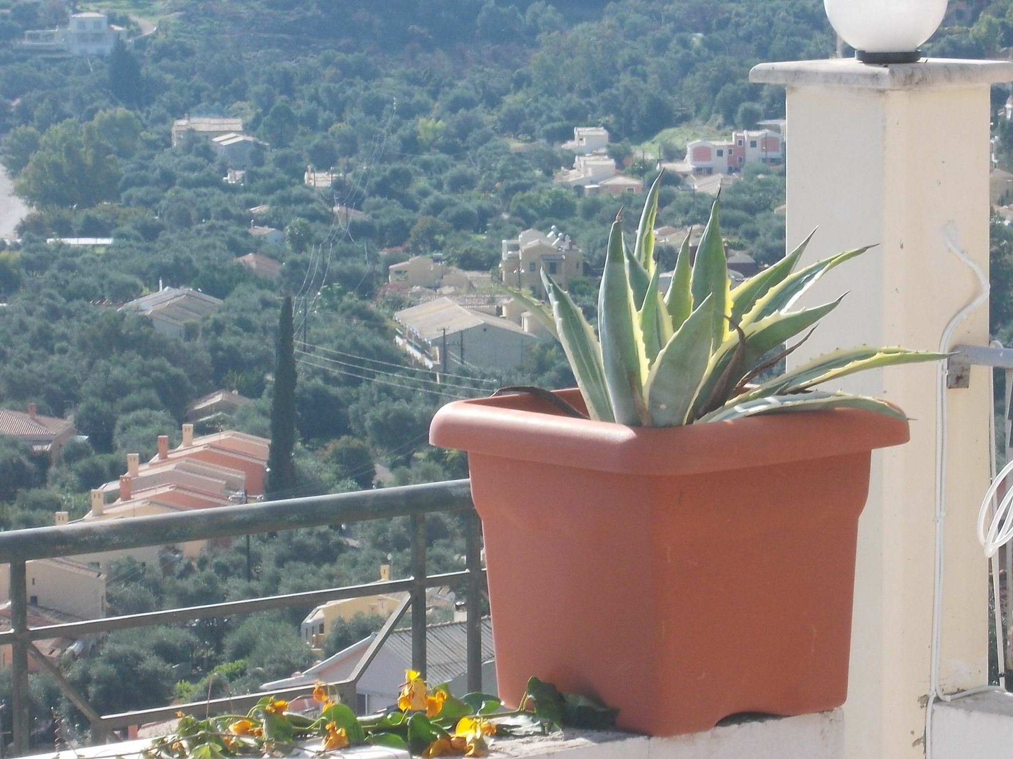Sarakinos Apartments Barbati Exterior foto